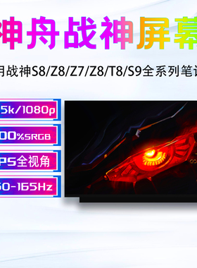 神舟战神S8 Z7 Z8 S7 T8 G8 CA/TA/DA5/7NP/B/S D6 R57笔记本屏幕