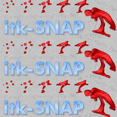 ITK-Snap4 新版医学标注三维图像处理查看编辑itksnap软件Win Mac