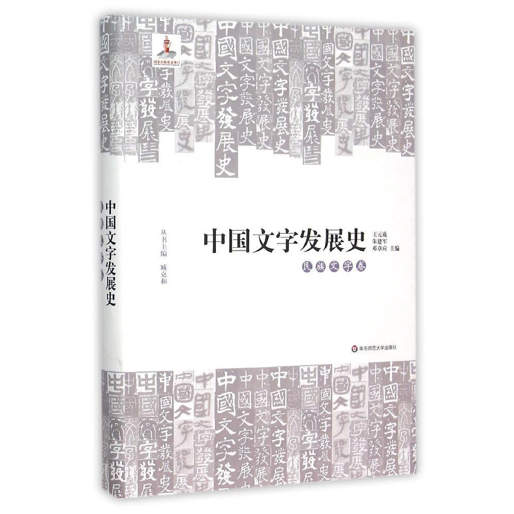 中国文字发展史 民族文字卷 精装附光盘 臧克和主编 语言文字学史史料 第四届中国出版政府奖（图书奖）正版 华东师范大学出版社