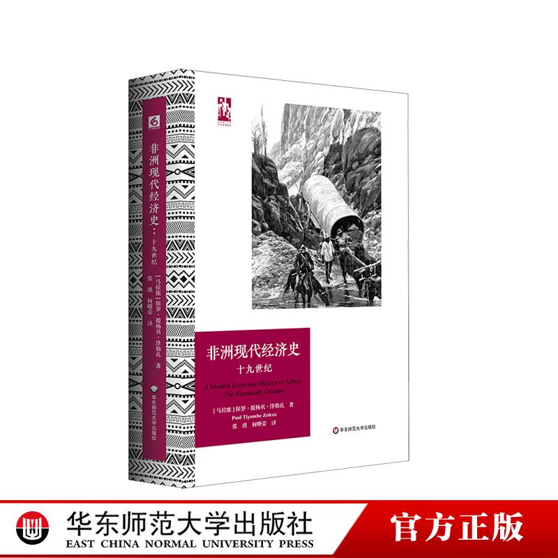 非洲现代经济史 十九世纪 六点非洲系列 精装 非洲历史研究 华东师范大学出版社