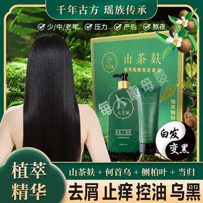 茶麸洗发水去屑止痒控油韧发黑发