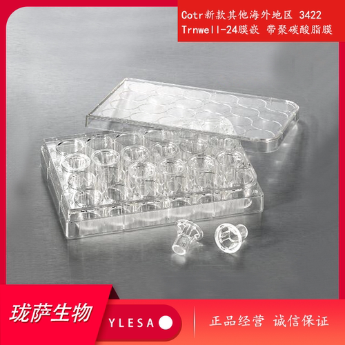 Cotr新款其他海外地区 3422 Trnwell-24膜嵌 带聚碳酸脂膜