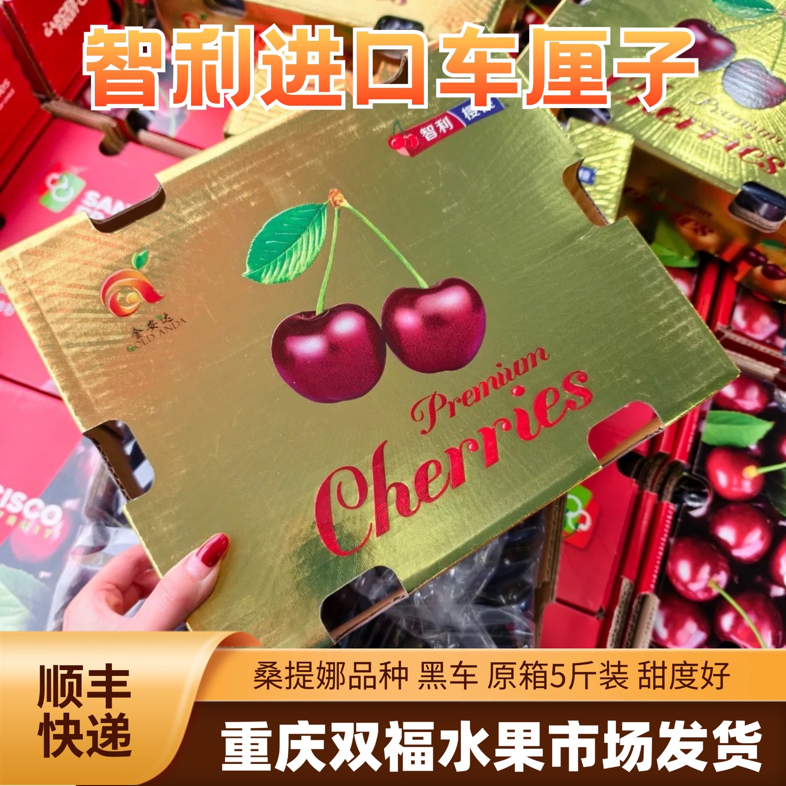 金安达智利进口车厘子桑提娜3JD原箱5斤礼盒装孕妇水果重庆双福