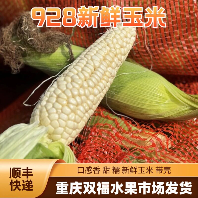 新鲜928玉米5斤10斤带壳发货甜糯的包谷重庆双福发货顺丰