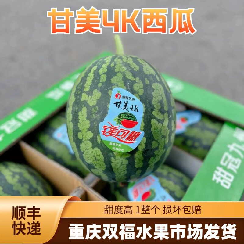 镁包糖甘美4K西瓜1整个5-6斤甜度高当季水果推荐重庆双福发货顺丰