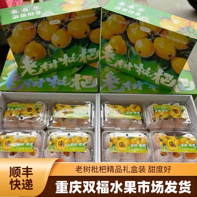 顺丰快递老树枇杷二合一和四合一礼盒装当季水果送礼推荐重庆双福