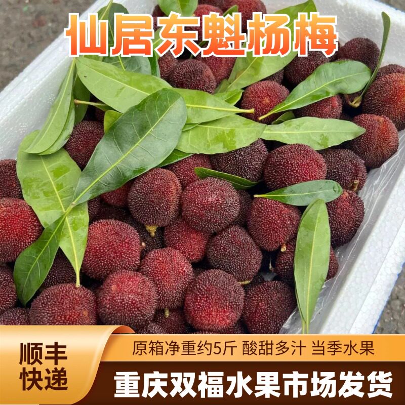 浙江仙居东魁大杨梅净重约5斤装酸酸甜甜当季水果推荐重庆双福