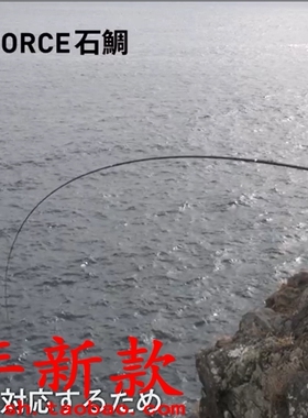 Daiwa KING FORCE ISHIDAI 石鯛 MH504 MH544重型石鯛矶钓竿 21款