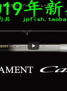 Daiwa TOURNAMENT CASTER AGS TYPE-T 32-428 29 33号-400 远投竿