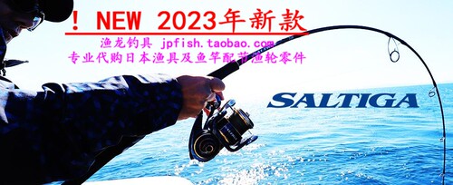 SALTIGA铁板竿DAIWA/达亿瓦
