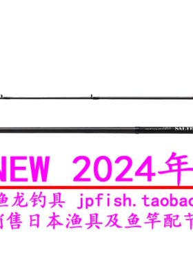 24新款日本 Daiwa 达亿瓦 SALTIST 96MHB近海路亚竿
