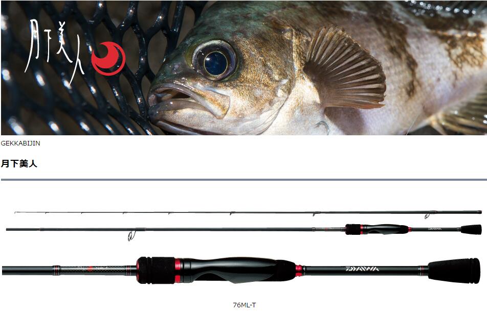 月下美人根钓竿DAIWA/达亿瓦