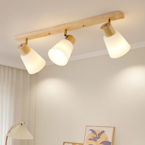 射灯衣帽间家用吸顶衣帽客厅灯具