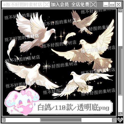 白鸽鸽子羽毛装饰氛围鸟类透明底png图片原创饭圈美工设计水印