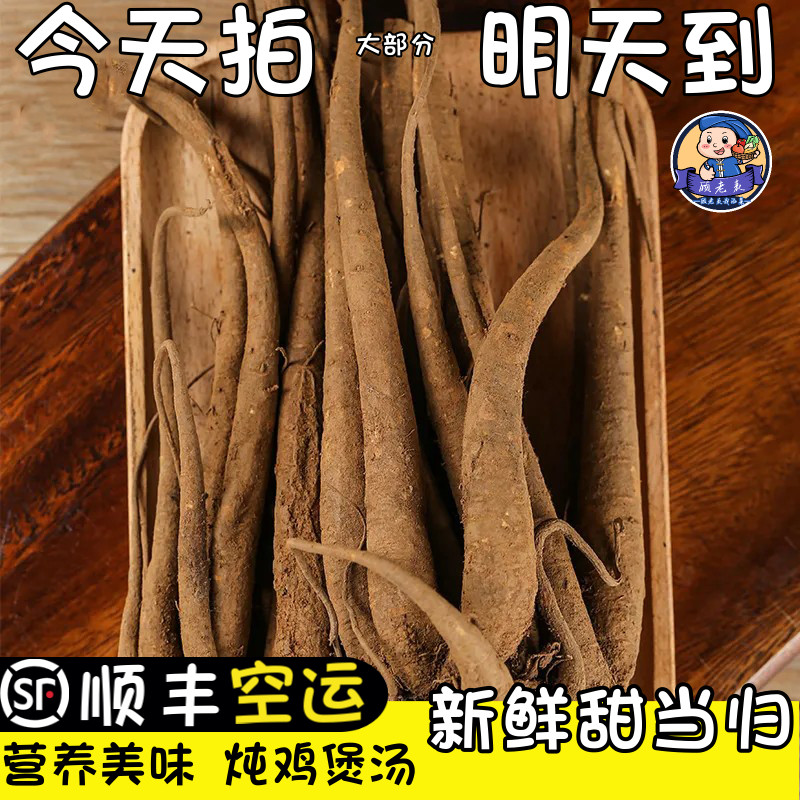 云南新鲜甜当归整根散装独角归3斤菜当归新鲜现挖煲汤火锅食材