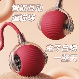 跨境爆款 自動(dòng)逗貓球貓咪自嗨球玩具球解悶神器帶繩跳跳球?qū)櫸镉闷? /></a>
                <div   id=
