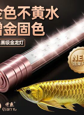 仟鱼神灯典蓝底金龙led灯防水超亮潜水观赏增红增艳不红水照明