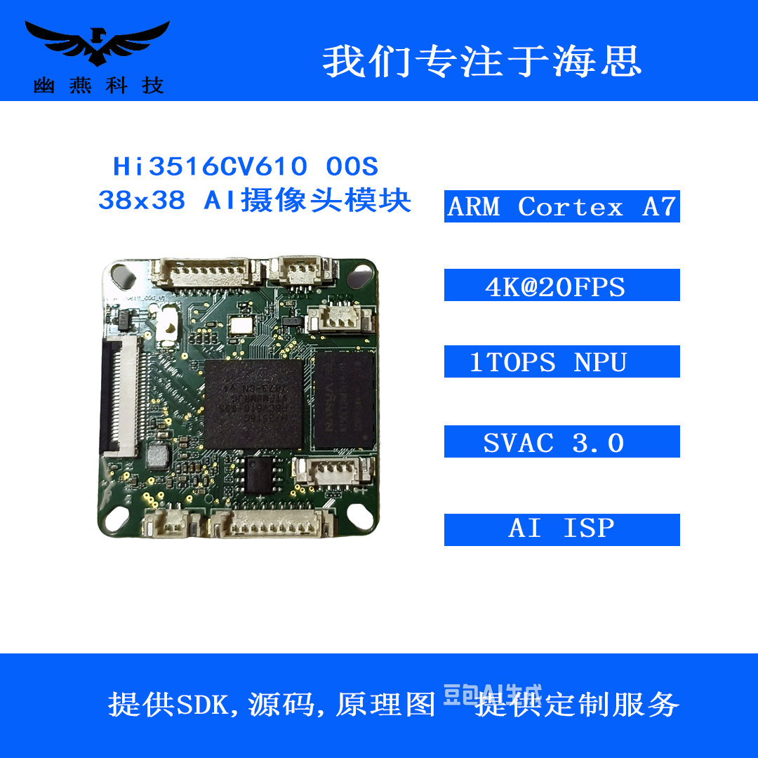 海思00SAI2Gb内存图片