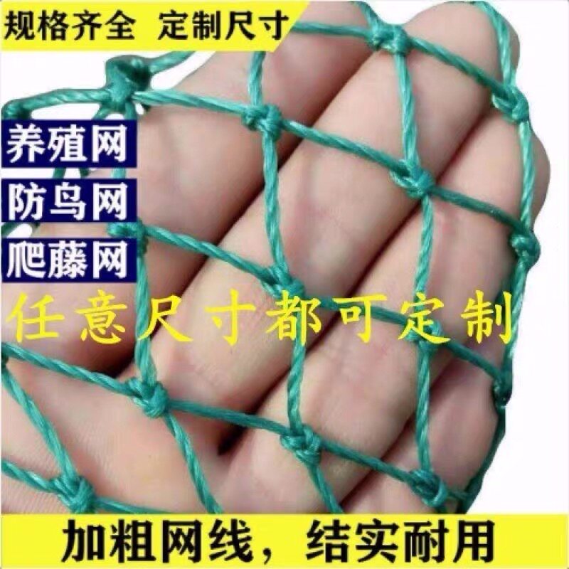 热销12股1厘米养鸡网家禽养殖网天网围山鸡网防护网菜Z园围栏网尼
