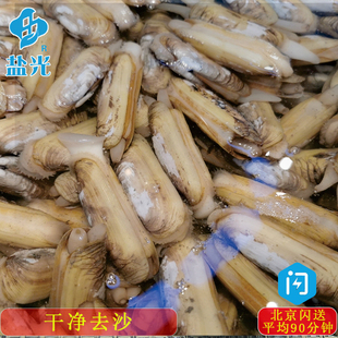 鲜活无沙竹蛏王缢蛏大蛏子新鲜海鲜水产每份15-25只 快递包鲜贝壳