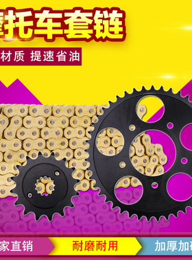 适用本田 STEED/铁马400/600 大小齿轮 链条齿轮 小链轮牙盘链盘