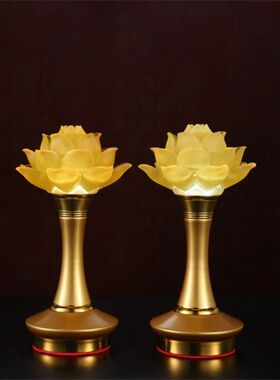 LED琉璃莲花灯佛灯长明灯佛灯佛堂佛具寺庙家用七彩神台灯一对