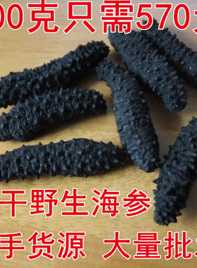 进口北极冰岛500克海参干货