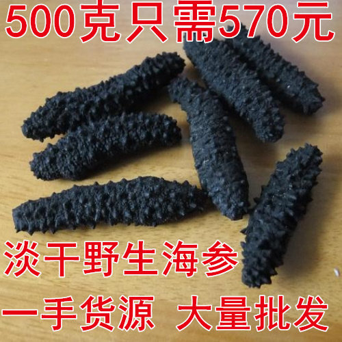 进口北极冰岛500克海参干货