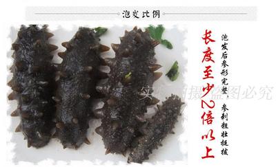 刺参野生9年50g大连海参