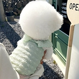 Жилет Pet Teddy Bieme Bomei Belomey Yerson Маленькие щенки, кошачья одежда для собачьей рукава