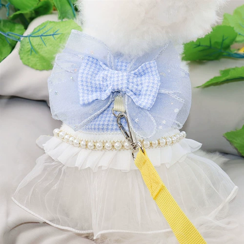 Туяющий жемчужный жемчуг в юбке Тедди, Тедди красавица, Берошин Берошика, кошка, кошка, собака, собака, собака