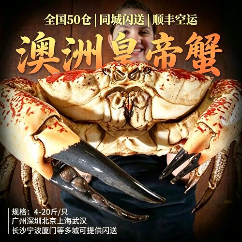 鲜活澳洲长脚皇帝蟹10-20斤