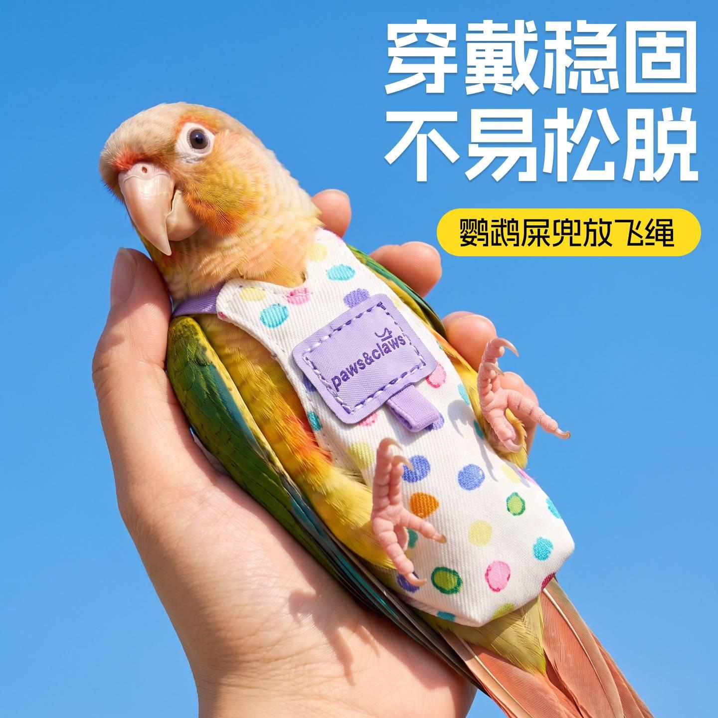 鹦鹉屎兜牵引绳一次性小鸟尿不湿和尚按扣式纸尿裤遛鸟绳拉屎神器
