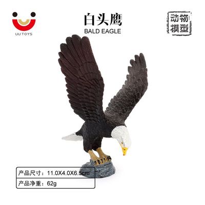 实心静态仿真野生动物模型 鸟类白头鹰秃鹰老鹰 儿童认知家居摆件