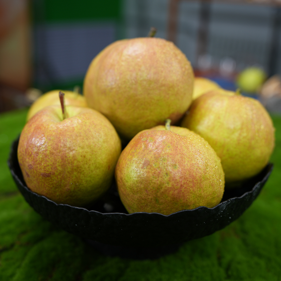 正宗山西隰县玉露香梨清甜多汁