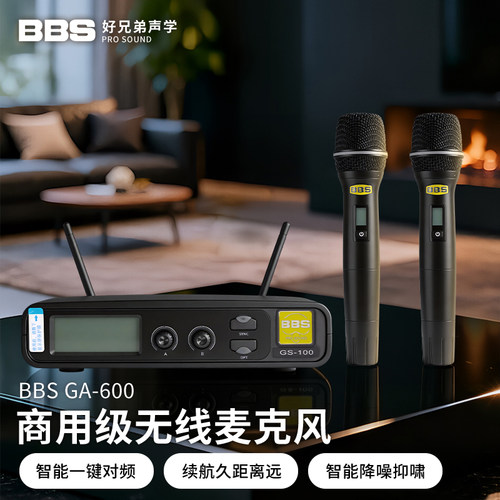BBS GA-600无线话筒一拖二家庭KTV卡拉OK专用麦克风手持舞台演出