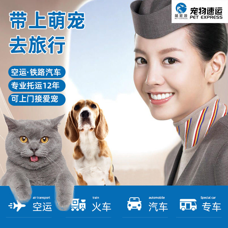厦门贵阳乌鲁木齐太原宠物托运狗猫空运汽运随机托运代办乘机手续