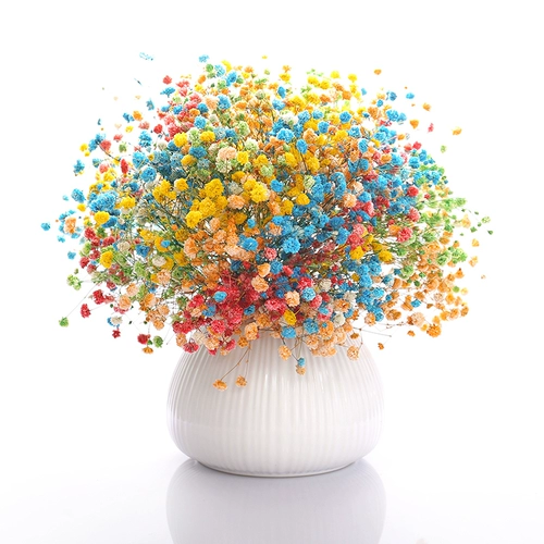 Большой луч, полный звездного сухого цветочного букета, декоративные украшения домашняя гостиная