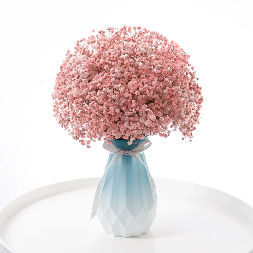 Полный тиансинг сухой цветок