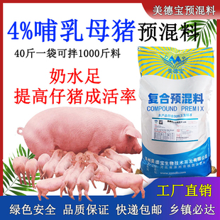 哺乳母猪预混料后备母猪怀孕母猪预混料40斤粉末公猪预混料公猪料