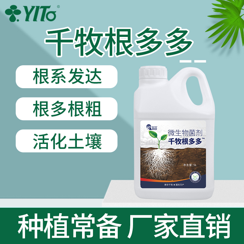 YITO通用型生根壮苗植物蔬菜盆栽