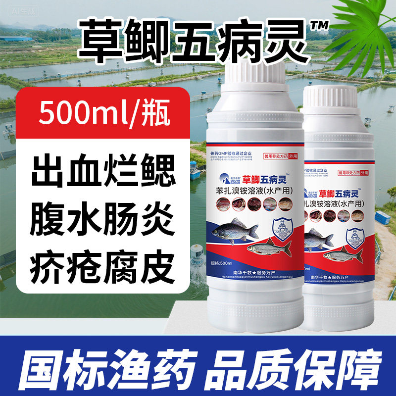 草鱼鲫鱼五病灵水产鱼药防治赤皮烂鳃腐皮烂身出血肠炎消毒防腐药