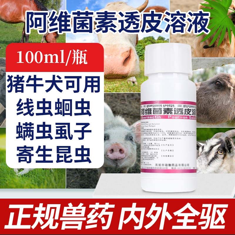 兽药兽用阿维菌素透皮溶液猪牛羊体内外驱虫疥螨线虫蛔虫虱子跳蚤
