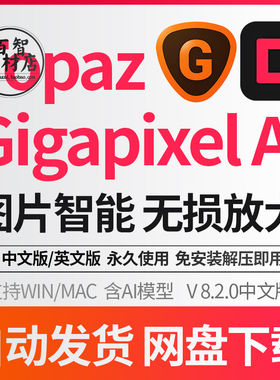 Topaz Gigapixel AI 8.2.0 中文版AI智能图片无损放大模糊变清晰