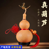 天然真葫芦挂件开口空心带龙头木葫芦门对门客厅窗台卧室床头摆件