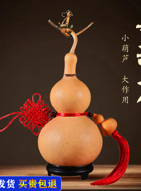 天然真葫芦挂件开口空心带龙头木葫芦门对门客厅窗台卧室床头摆件