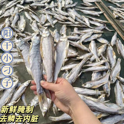 湖北特产洪湖阳干500g小刁子鱼无防腐风干阳干鱼手工腌制鱼