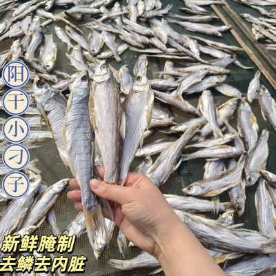 湖北特产洪湖阳干500g小刁子鱼无防腐风干阳干鱼手工腌制鱼