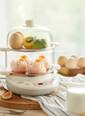 小熊煮蛋器ZDQ-C14Q8 双层家用定时煎蛋器蒸蛋器防干烧双层蒸碗