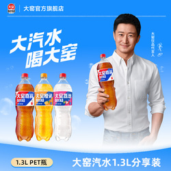 过年少不了！1.3L*2瓶！大窑果汁汽水